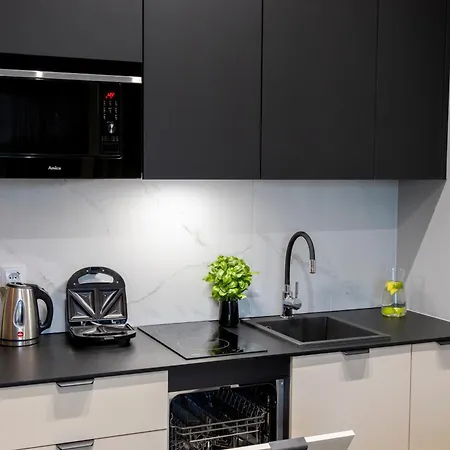 Kaleo - Hanza Tower 公寓 *